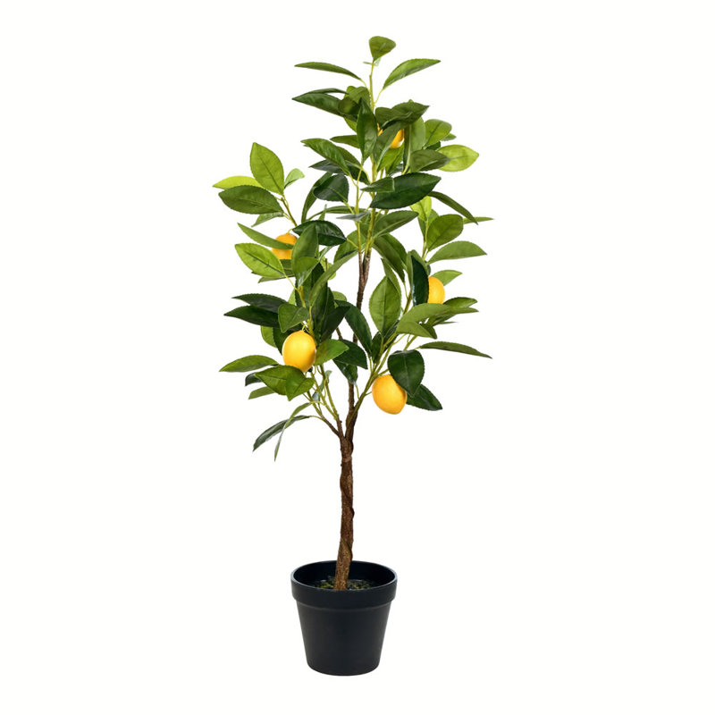 Gracie Oaks Real Touch Leaves Lemon Tree in Pot & Reviews Wayfair